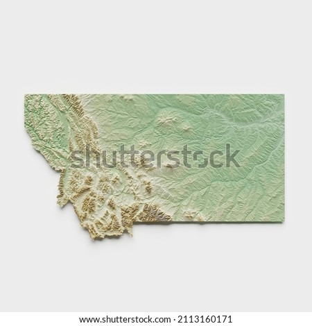 Montana Topographic Relief Map - 3D Render