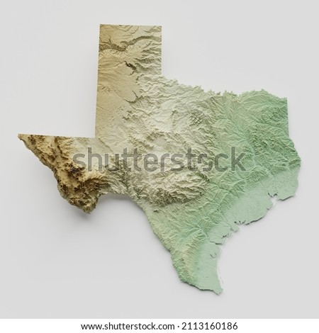 Texas Topographic Relief Map - 3D Render