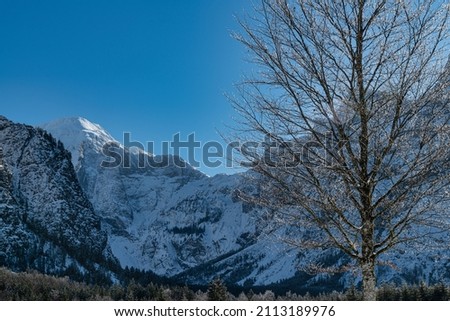 Dreamlike Winter wonderland in Almtal, Salzkammergut. Frozen Trees Almsee, Totes Gebirge, Upper Austria