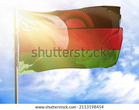 Flagpole with flag of Malawi.
