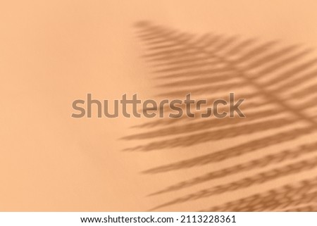 Creative copyspace with shadows on a soft pink beige wall. Top view of leaves shadows on the pink background. Flat lay style. Minimal summer concept with flower leaves