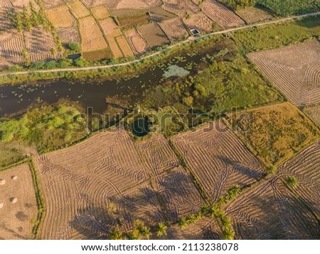 drone shot aerial view top angle bright sunny day paddy fields cultivation agricultural lands ruralscape india tamilnadu village rural area ploughed meadows grasslands patterns 
