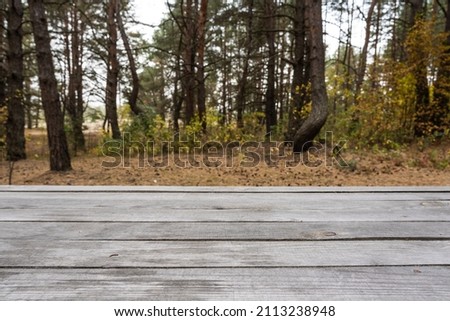 Close-up view photography of real organic wooden table surface isolated on blurry autumn green, brown and orange landscape of forest