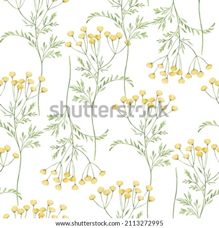 Watercolor botanical seamless pattern Delicate meadow wildflowers. Hand drawn tansy Floral print. For birthday card, invitation, happy easter, wedding cards, invitation card, congratulations card.