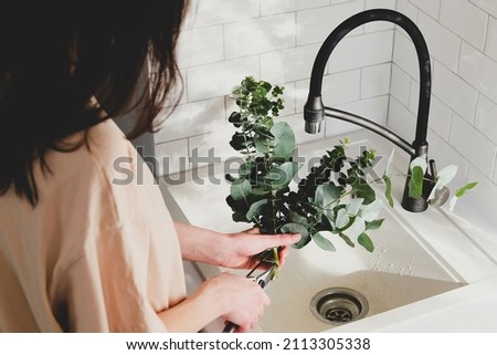 Woman care of cut eucalyptus bouquet in the kitchen at home. Close-up view Royalty-Free Stock Photo #2113305338