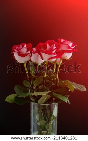 Bouquet of red roses on a dark background Romanti photo. Selective focus.