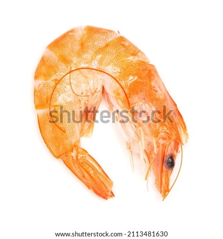 Red shrimps isolated on white background. Close-up