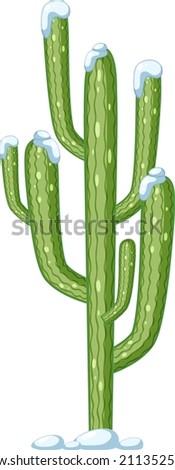 Saguaro cactus isolated on white background illustration
