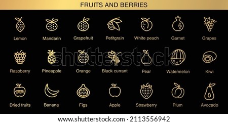 Fruits and berries icons set. Healthy food. Trend vector illustrations for web design and print. Royalty-Free Stock Photo #2113556942