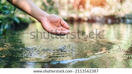 and touches  water in the pond Royalty-Free Stock Photo #2113562387