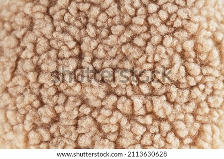 Beige wool background, natural sheepskin close-up. Top view