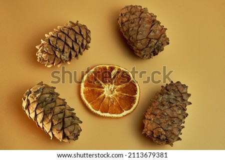 Four cedar cones with an orange in the center on a pastel background.