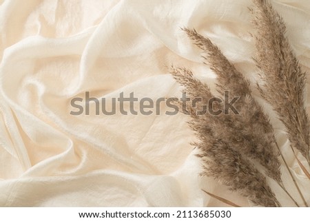 Top view photo of reed flowers on white light textile background with copyspace