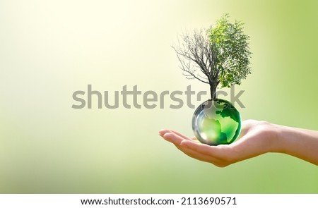 Earth Day or World Environment Day, Combat Desertification and Drought concept. Climate change and global warming theme. Save our Planet, protect green nature. Live and dry tree on globe in hand. Royalty-Free Stock Photo #2113690571