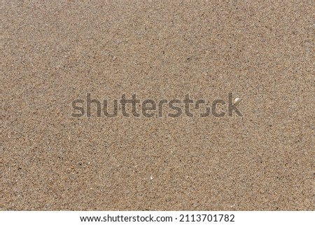 Sandy beach background for summer. Sand texture. Macro shot. Copy space.