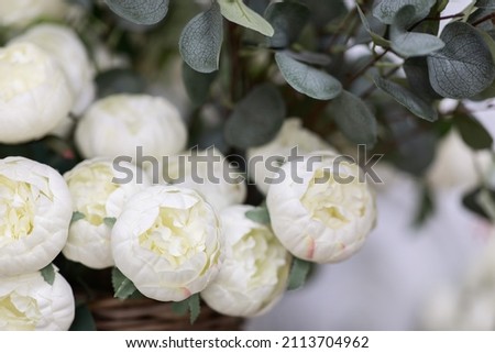 spring composition, bouquet of white peonies and eucalyptus branches, close-up