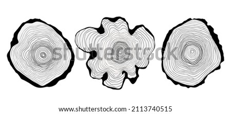 Set of wooden stumps with hand drawn linear pattern of tree rings - vector illustration isolated on white. Flat color design. Royalty-Free Stock Photo #2113740515