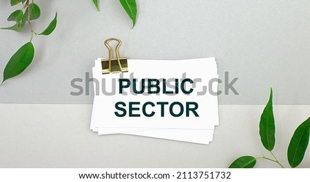 On a gray background - green leaves of the plant and a white card under a gold clip with the text PUBLIC SECTOR. Minimalist.