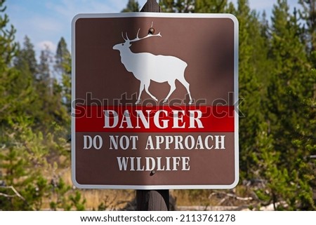 Yellowstone National Park, Wyoming, USA Danger Not Approuch Wildlife
