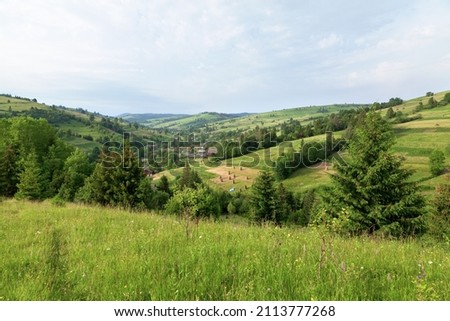 Summer on mountain meadow, view of the forests and village.