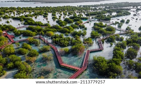 Jubail Mangrove Park in Abu Dhabi Royalty-Free Stock Photo #2113779257