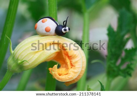 Plasticine world - little homemade white ladybug with orange spots sitting on a flowering zucchini, selective focus on head