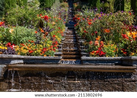 Garden with flowers on the slope below is a waterfall Royalty-Free Stock Photo #2113802696