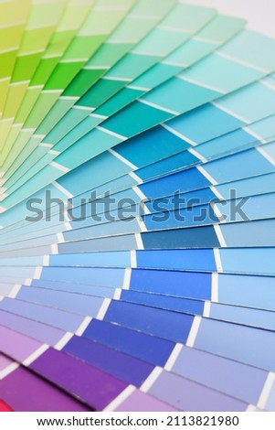 Color Swatch - Paint Tone Selection