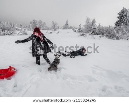 Two girls, sisters, play with a corgi dog on a snowy field in the mountains. Youth, joy and freshness. The energy of life.