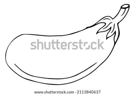 Hand drawn eggplant illustration in vector. Doodle eggplant illustration in vector. Hand drawn eggplant icon in vector. Royalty-Free Stock Photo #2113840637