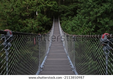 Lynn Canyon Suspension Bridge and Park Trails Royalty-Free Stock Photo #2113850987