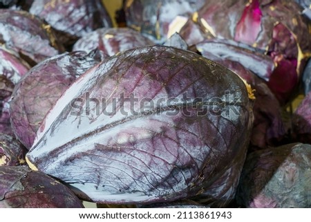 Farm Organic Fresh Red Cabbage. Natural vitamins in a retail grocery store. Selective focus with copy space for text.
