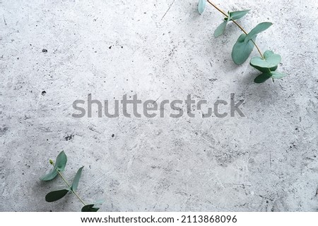 Eucalyptus branches on a rough stone surface top view. Wediing invitation card mockup. Royalty-Free Stock Photo #2113868096