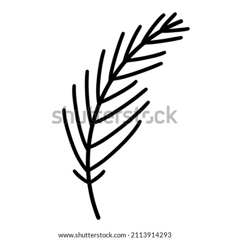 Coniferous tree branch vector icon. Hand-drawn illustration isolated on white backdrop. Evergreen sprig of pine, fir, spruce. Botanical clipart for decoration, card design, invitation, web