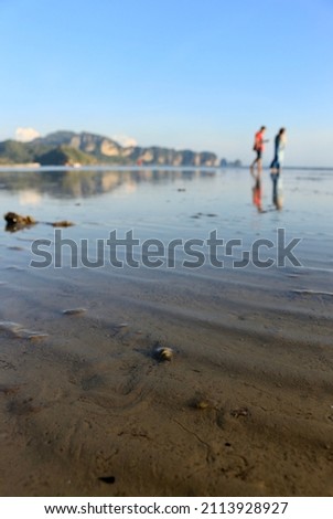 Blurred picture of romantic couple walking on the beach before sunset.