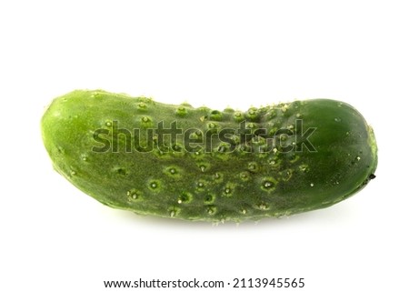 Isolated cucumber. One bended curved cucumber on white background with clipping path.