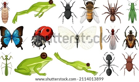 Different insects collection isolated on white background illustration
