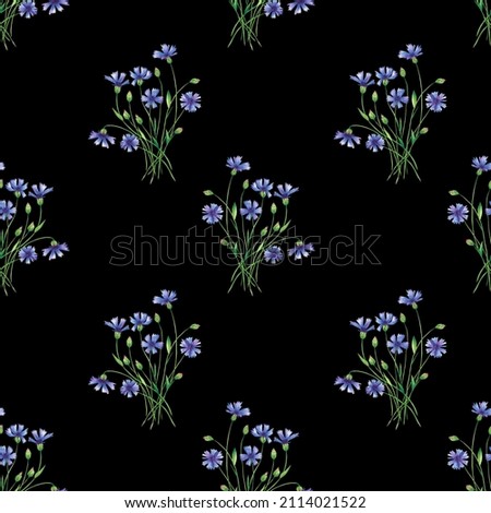 Knapweed flowers on black background