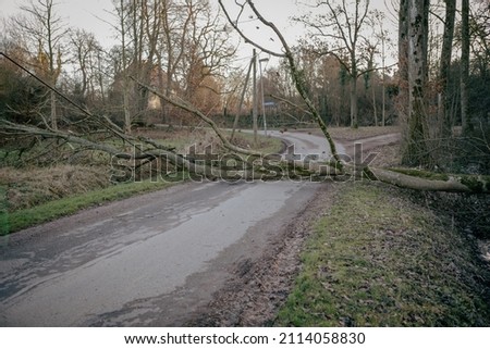 After a storm there is a fallen tree on the road Royalty-Free Stock Photo #2114058830