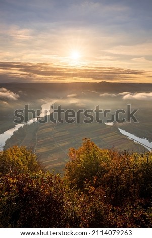 The Moselle Loop in Rhineland-Palatinate, Germany. Beautiful landscape shot at sunrise with fog in the morning over the town of Brem in the wine field of a steep slope Royalty-Free Stock Photo #2114079263