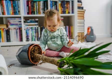 one caucasian baby girl making mess playing and mischief with bad behavior ripping paper towel and flower pot crushed on the floor naughty kid at home childhood and growing up misbehavior concept Royalty-Free Stock Photo #2114096690