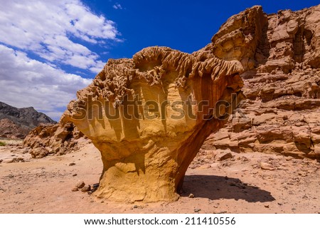 Sculpture of  big mushroom near White Canyon in Egypt