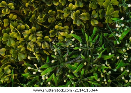 Closeup view flat lay stock photography of beautiful green artificial foliage imitating real organic plants. Abstract background