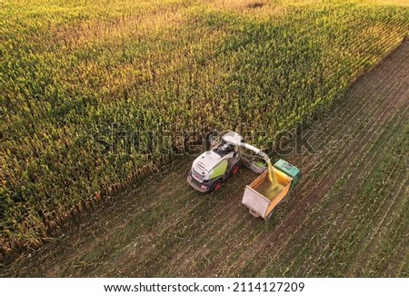 Maize Harvesting with Forage harvester in field, aerial view. Cutting Maize for agriculture and silage. Dump truck transports corn from field. Corn harvest season at farm. Self-propelled harvester.
 Royalty-Free Stock Photo #2114127209