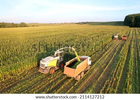 Maize Harvesting with Forage harvester in field, aerial view. Cutting Maize for agriculture and silage. Dump truck transports corn from field. Corn harvest season at farm. Self-propelled harvester.
 Royalty-Free Stock Photo #2114127212