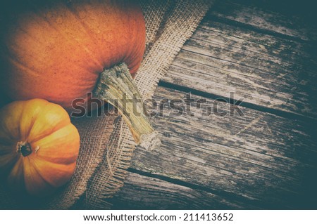 Autumn still-life with pumpkins on wooden background 