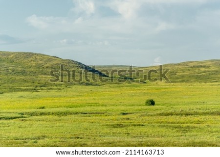 steppe, prairie, veld, veldt are ecosystems that ecologists consider to be part of the biome of grasslands, savannas and shrubs with a temperate climate, based on a similar temperate climate Royalty-Free Stock Photo #2114163713