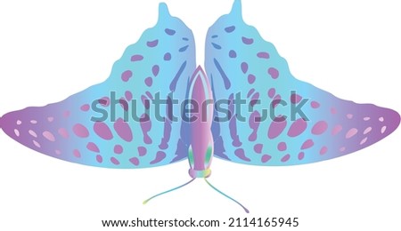 colorful vector butterflies, illustration butterflies.