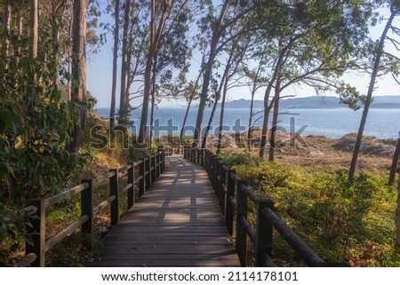 Photo of a trip to the Cies Islands in Vigo  Royalty-Free Stock Photo #2114178101