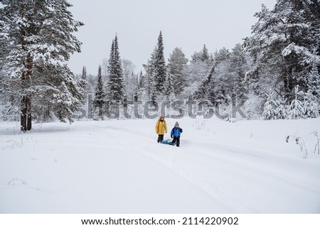 Winter landscape. Family on a walk. Hiking in the winter forest. The concept of a family holiday in nature. A child with his parents walks in the snow in the taiga. High quality photo